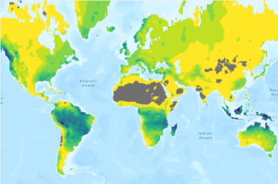 Precipitation analysis project preview